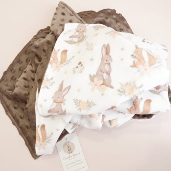 Carrol Baby Blanket Brid n Bunny In The Garden Minky Brown