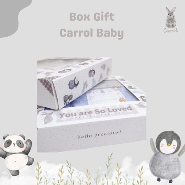BOX hampers carrol baby | BOX Gift kado - Gambar 5