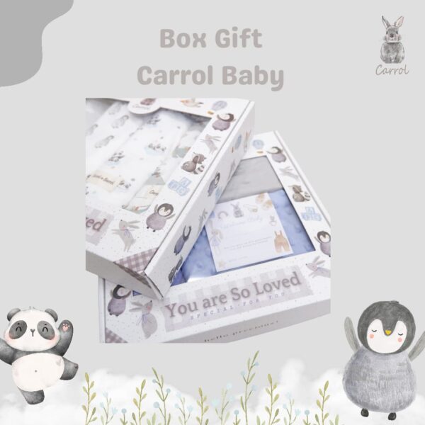 BOX hampers carrol baby | BOX Gift kado - Gambar 6