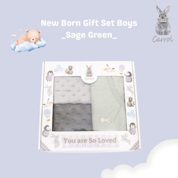 Carrol Baby New Born Gift Set - Hampers Premium Baby - Hampers Bayi - Paket Gift Bayi Baru Lahir - Gift Box Set Baby - Gambar 3