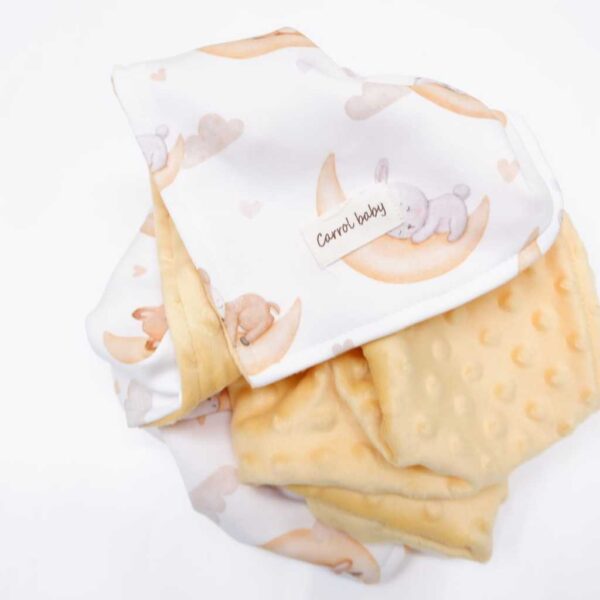 Carrol Baby Blanket Baby Sleeping Fox n Friends - Selimut Bayi - Selimut Minky - Gambar 3